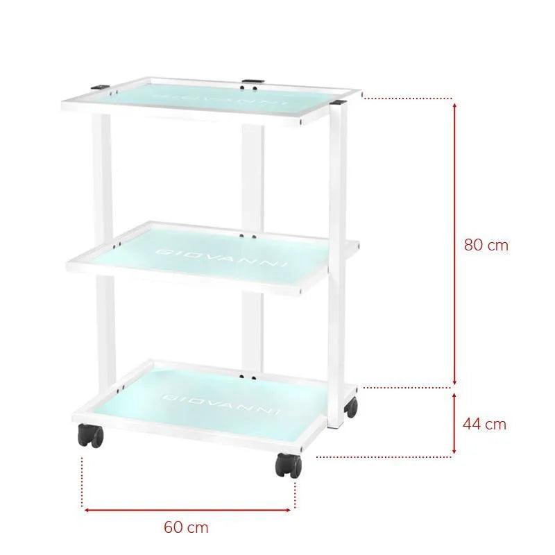 Aesthetic auxiliary cart