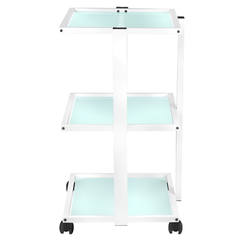 Aesthetic auxiliary cart