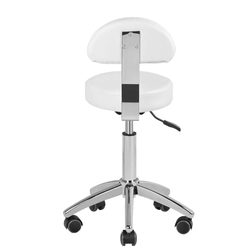 Hydraulic chair with backrest