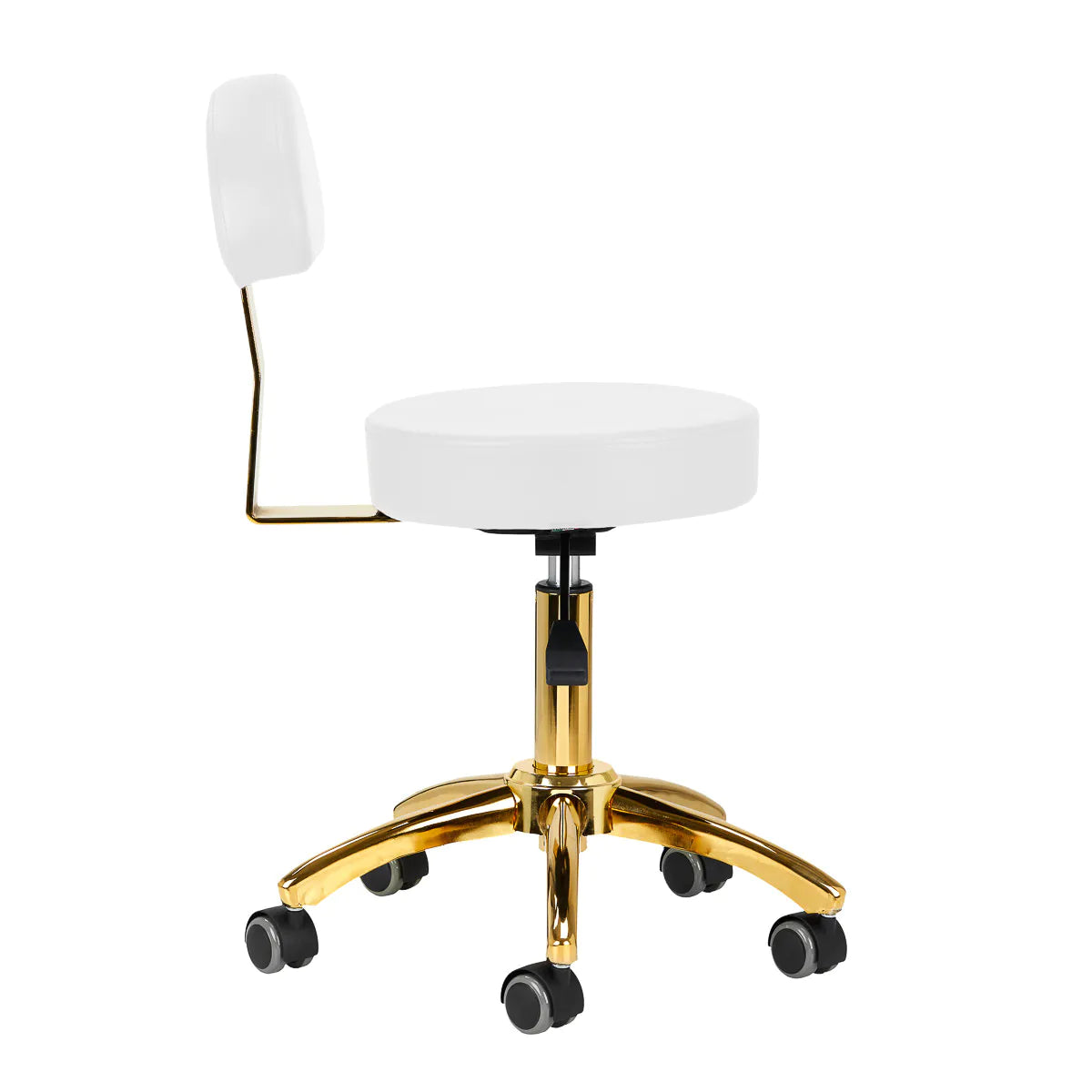Hydraulic chair with backrest