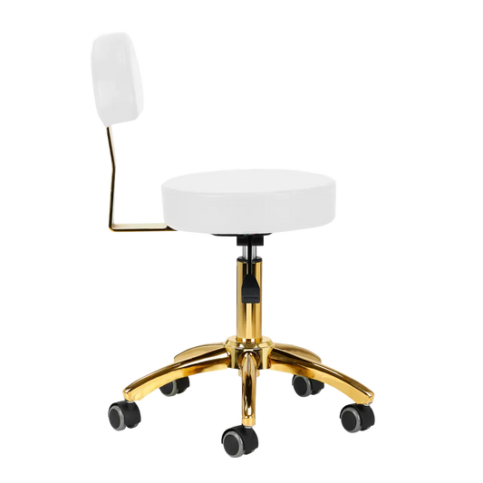 Hydraulic chair with backrest
