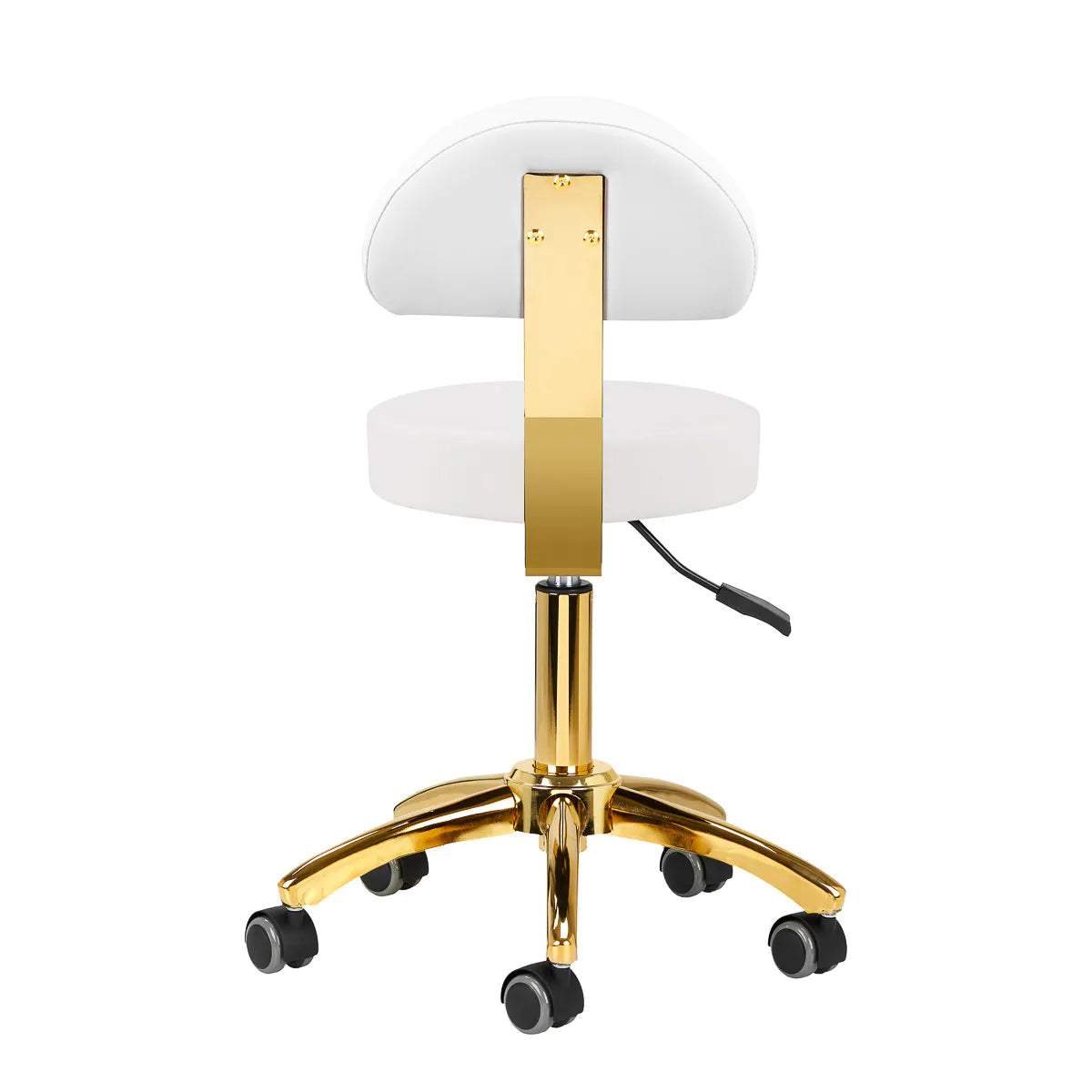 Hydraulic chair with backrest