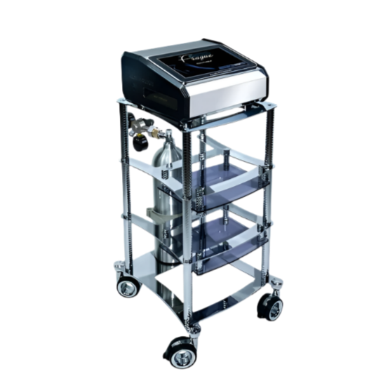 Máquina de Carboxiterapia CO2-ProMed – Precisión, Seguridad y Resultados Rápidos