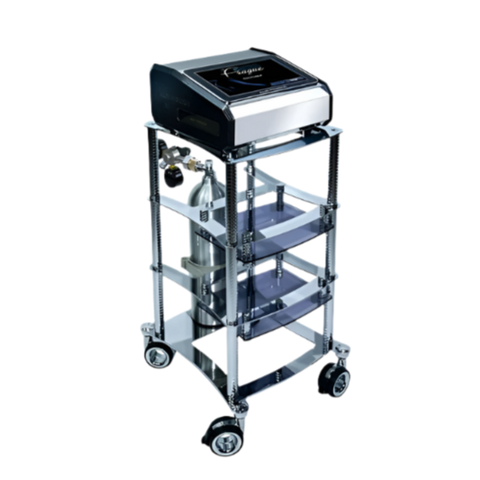 Máquina de Carboxiterapia CO2-ProMed – Precisión, Seguridad y Resultados Rápidos