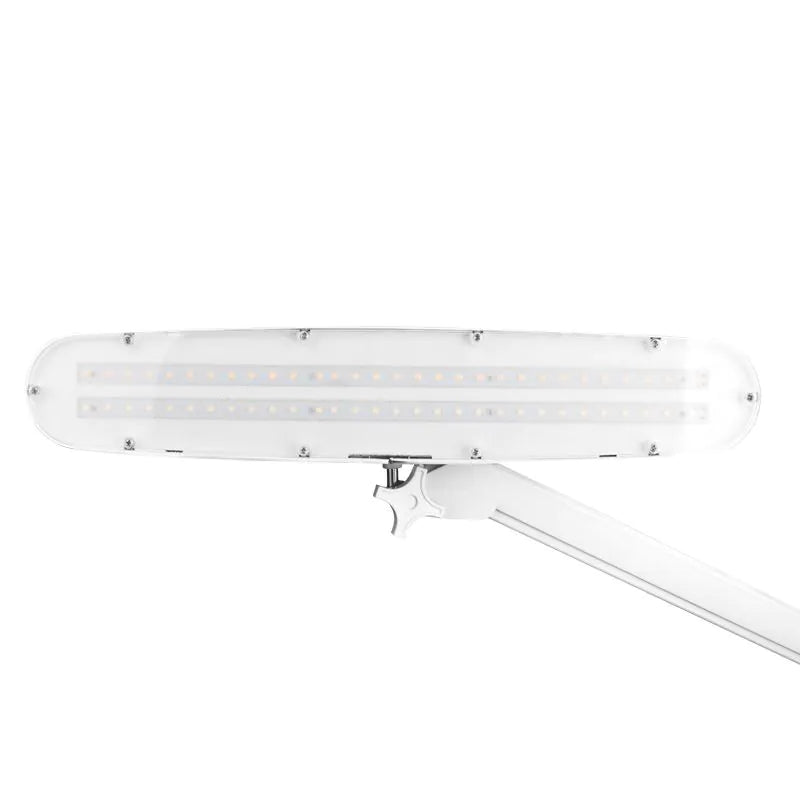 Lampe LED avec intensité et couleur de lumière réglables, mod. 801-TL