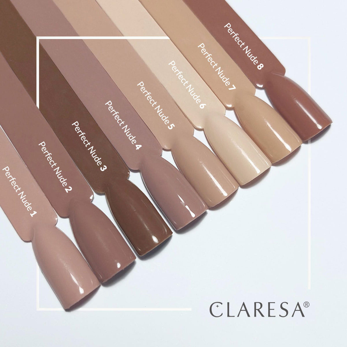 3-CLARESA-3