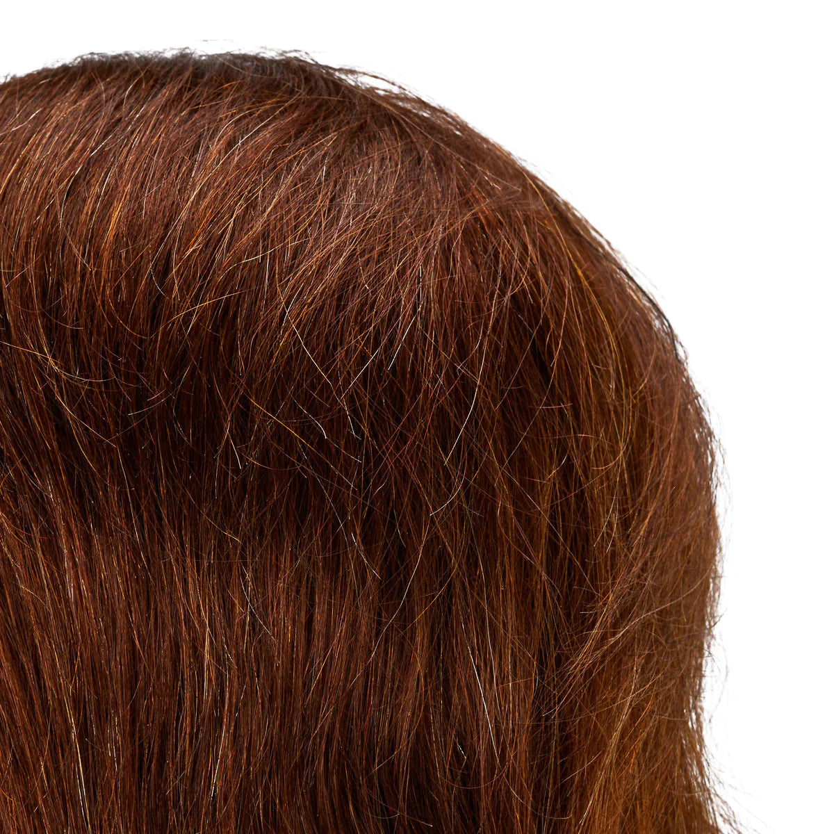 Gabbiano WZ3 hairdressing training head, natural hair, color 4#, length 8" 