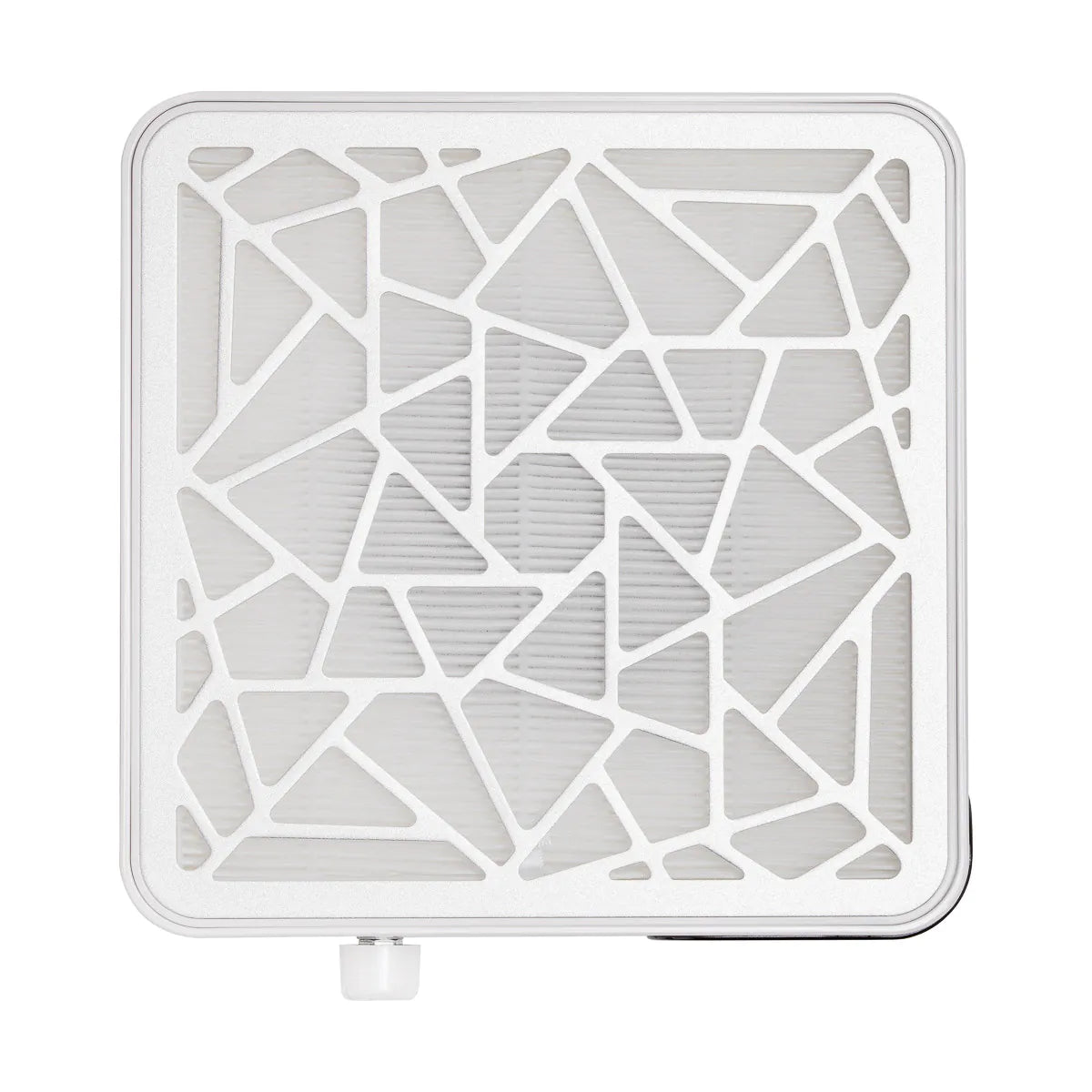 Absorbedor de polvo Momo P10 PRO