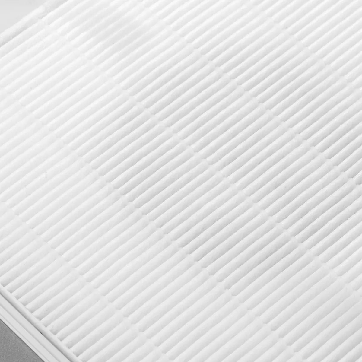 Absorbedor de polvo Saeyang Marathon Levent 52W