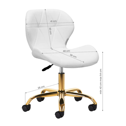 Adjustable Beauty Chair QS-06G