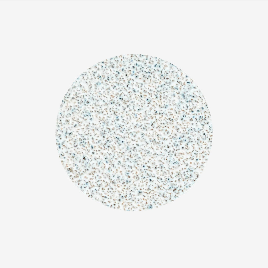 Limas adhesivas para disco de pedicura Pro Expert 25